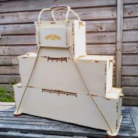 Coach Cases